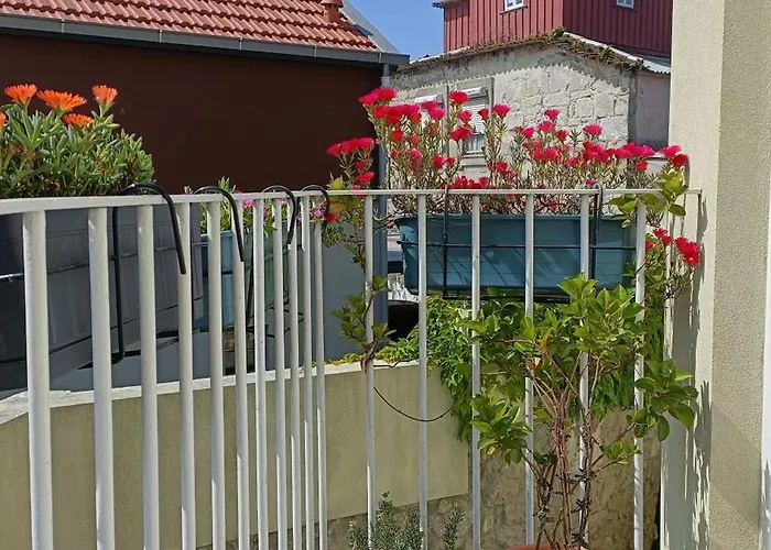 Green House / Casa Verde