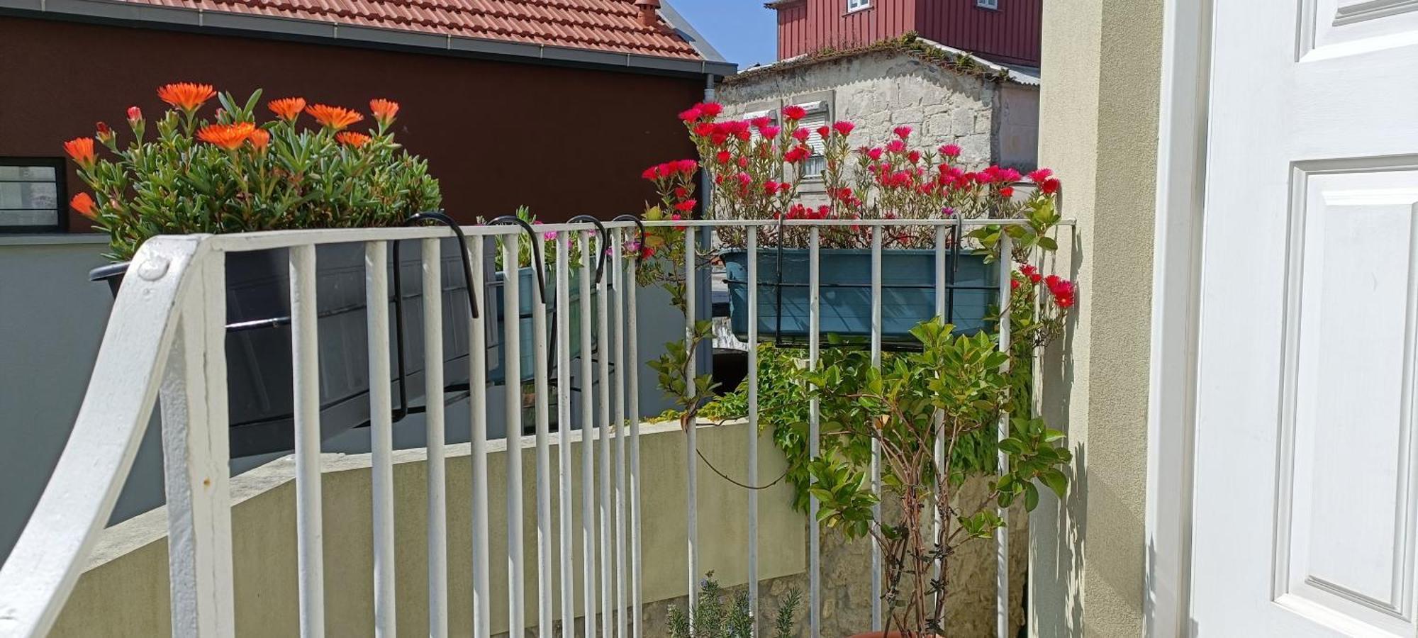 House / Casa Oporto